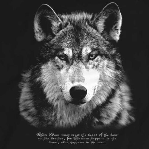 wolf 3 - lupu