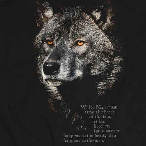 wolf 1 - lupu